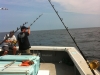 fishing for bluefin tuna