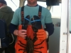 holding lobster